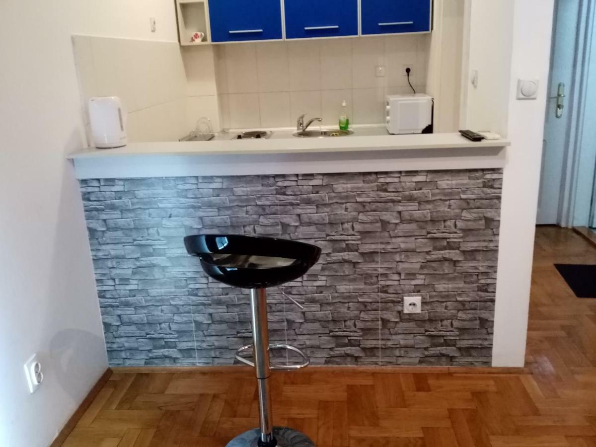 Apartment Aska Belgrad Dış mekan fotoğraf
